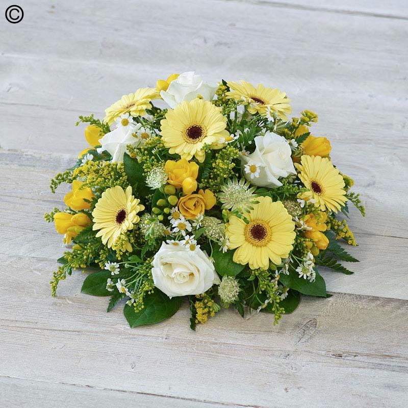 Yellow and White Posy