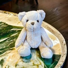 Teddy Bears