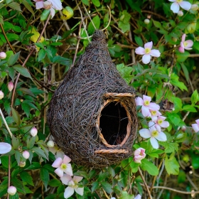 Bird Nesting and Wildlife Gifts