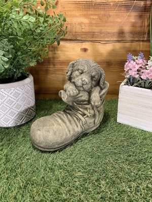 Dog in Boot