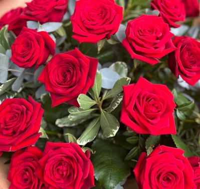 Ruby Elegance (Dozen Red Roses)