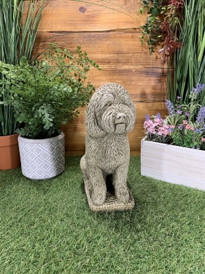 Stone Cockapoo