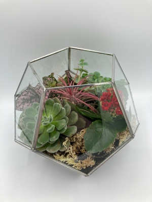 Terrarium Workshop at Honey & Thyme