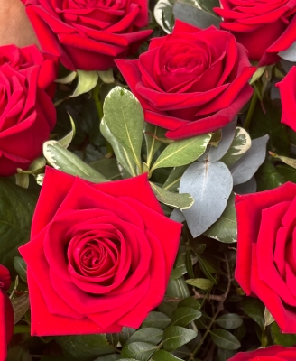 Timeless Red Rose Gift Box (6 Red Roses)
