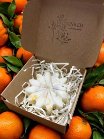Botanical Wax Flower   Amber & Sweet Orange