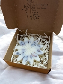 Botanical Wax Flower Fresh Linen