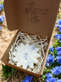 Botanical Wax Flower Wild Bluebell