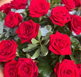 Ruby Elegance (Dozen Red Roses)