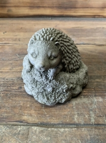 Small Stone Hedgehog
