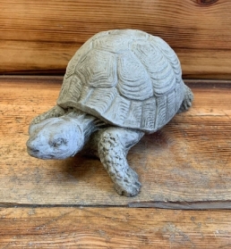 Small Stone Tortoise