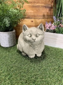 Stone Cat