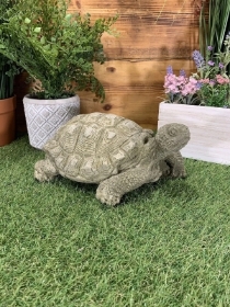 Stone Tortoise