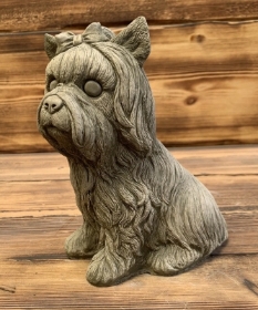 Stone Yorkie