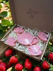 Strawberry and Rhubarb Wax Melt Teapot Set