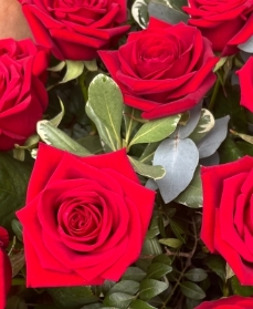 Timeless Red Rose Gift Box (6 Red Roses)