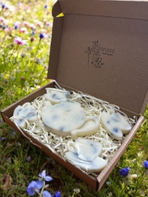 Wild Bluebell Wax Melt Teapot Set